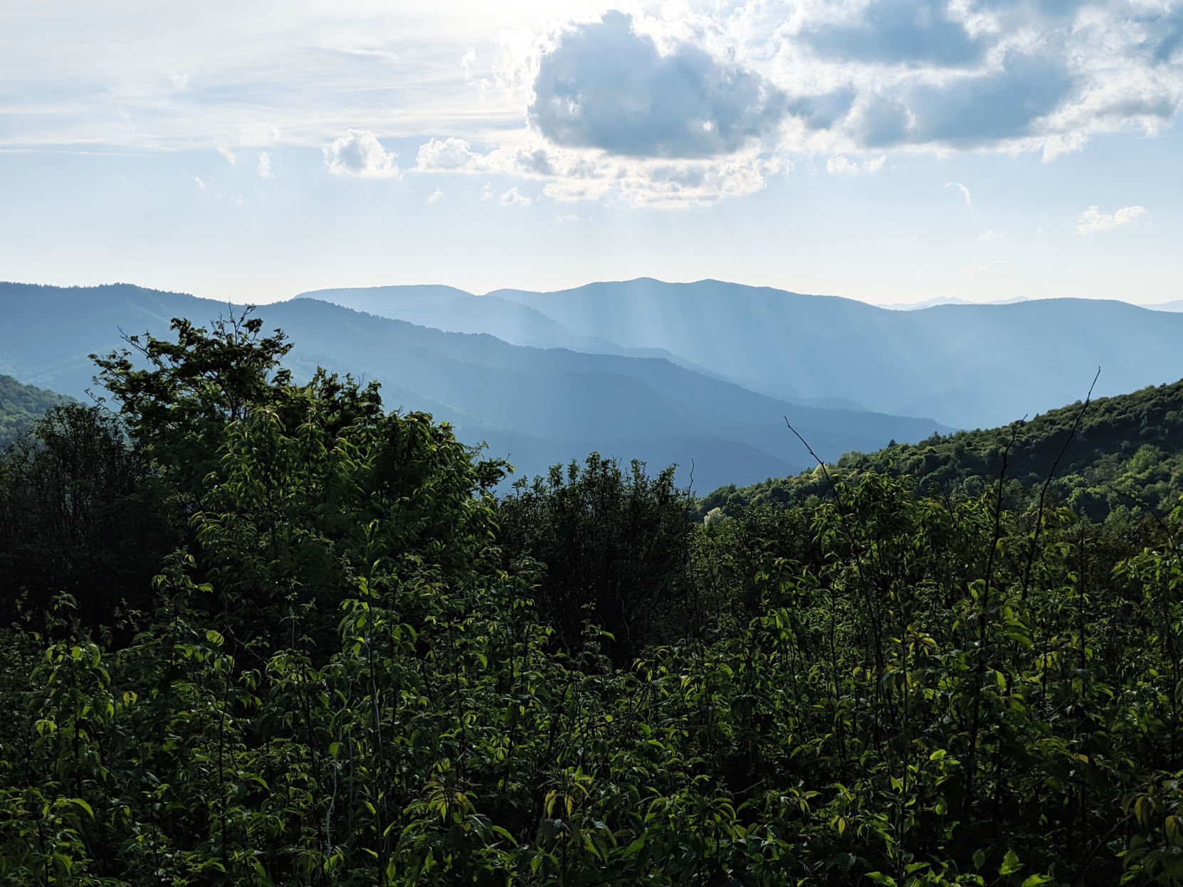 hike 3.jpg
